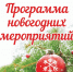 План Тематических новогодних мероприятий муниципального района Федоровский район Республики Башкортостан - Федоровский район