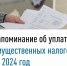 Напоминание об уплате имущественных налогов за 2024 год - Федоровский район