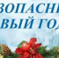 Об обеспечении безопасности объектов потребительского рынка в предновогодний период и новогодних праздников - Федоровский район